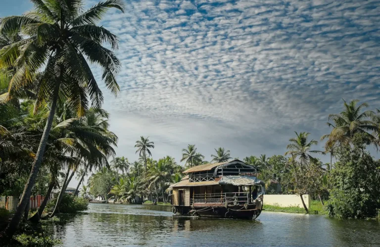 Travel agency · Kolkata digital marketing case study